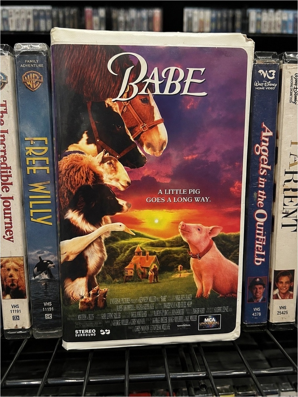 Babe VHS Tape Family Movie Clamshell Case Universal